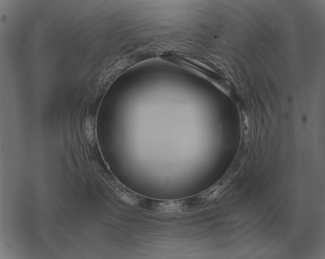 X0000077340335200611031802