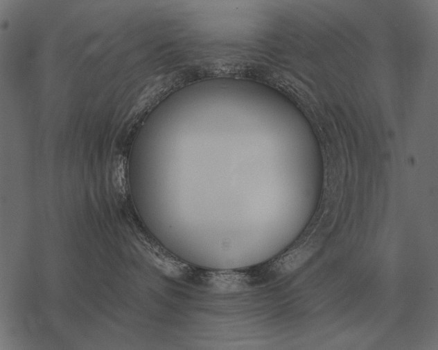X0000077340336200611031802