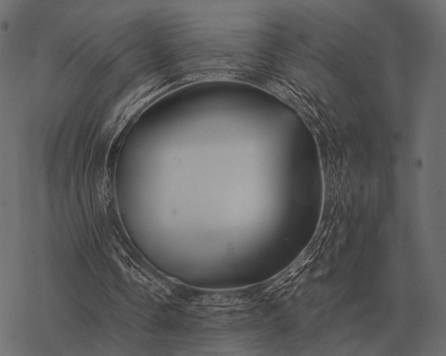 X0000077340338200611031801