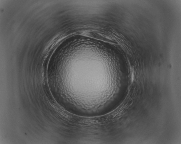 X0000077340339200611031801