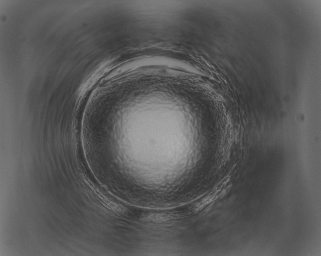 X0000077340341200611031801