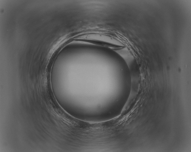 X0000077340344200611031801