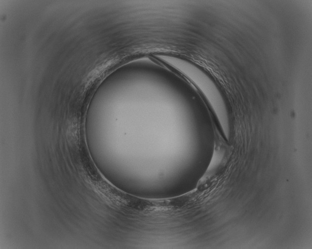 X0000077340352200611031801