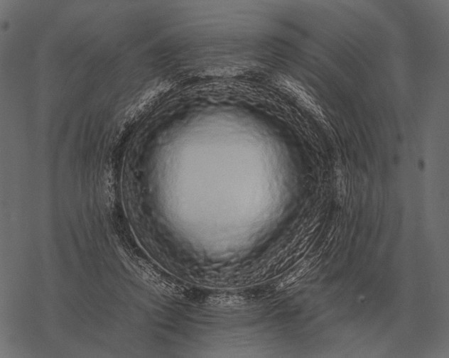 X0000077340354200611031801