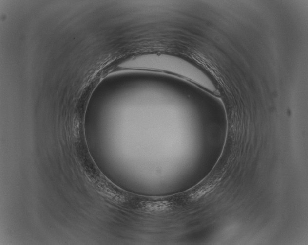 X0000077340355200611031801
