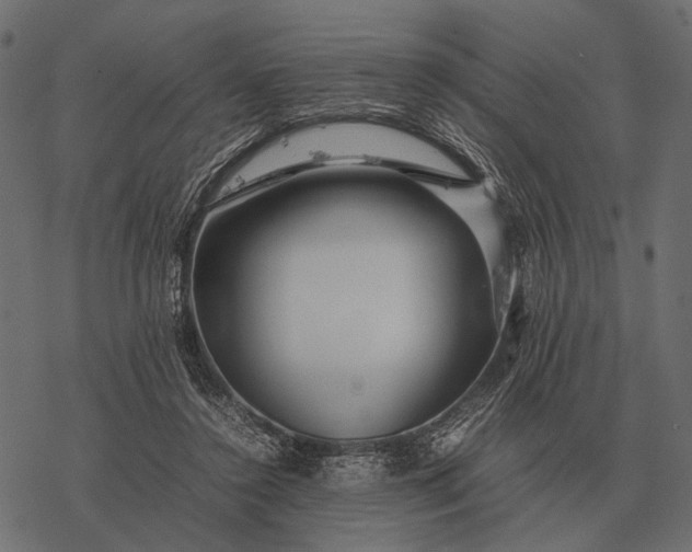 X0000077340356200611031801