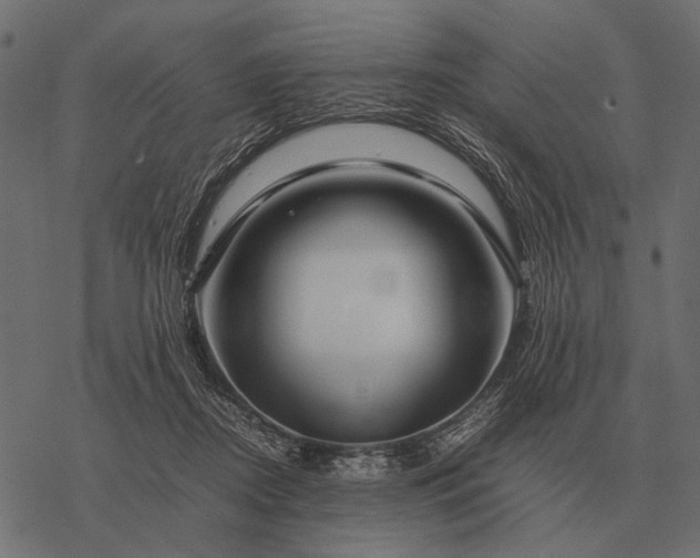 X0000077340362200611031801