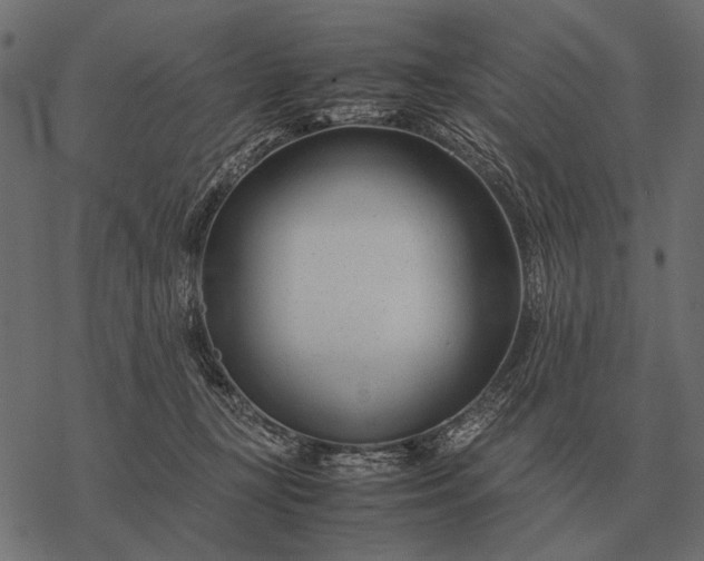 X0000077340367200611031801