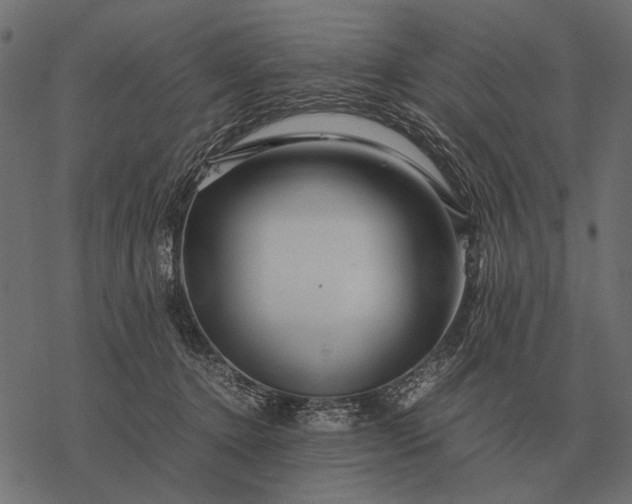 X0000077340368200611031801