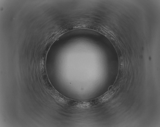 X0000077340369200611031801