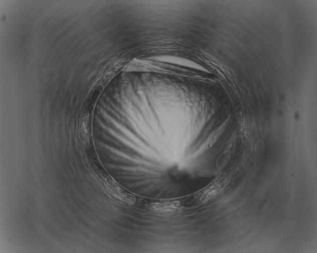 X0000077340373200611031801