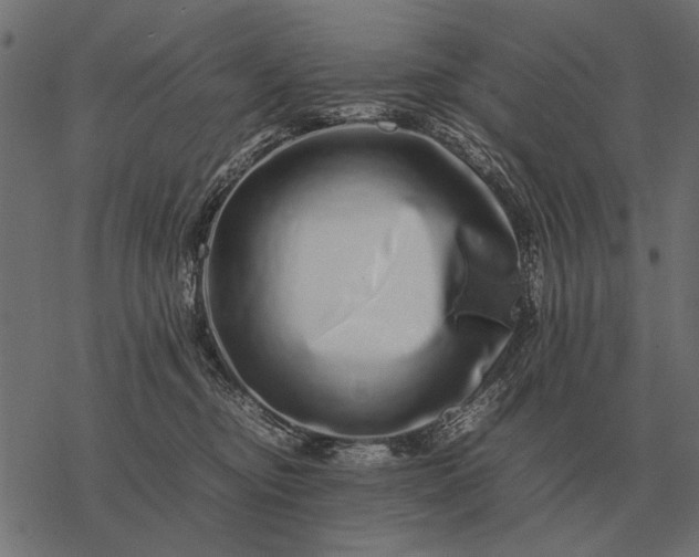 X0000077340374200611031801