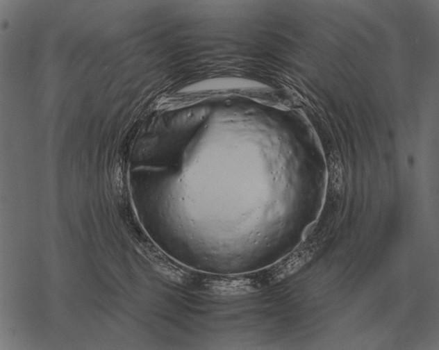 X0000077340375200611031801