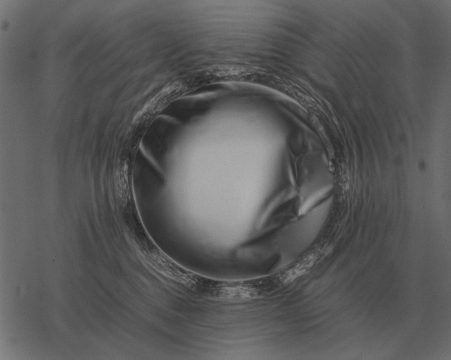 X0000077340376200611031801