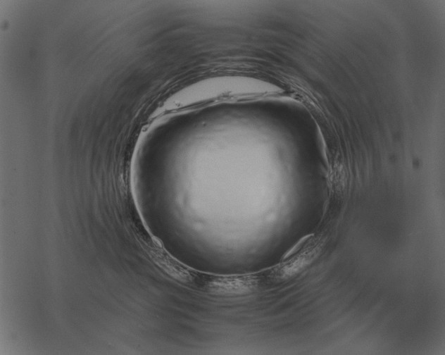 X0000077340381200611031802