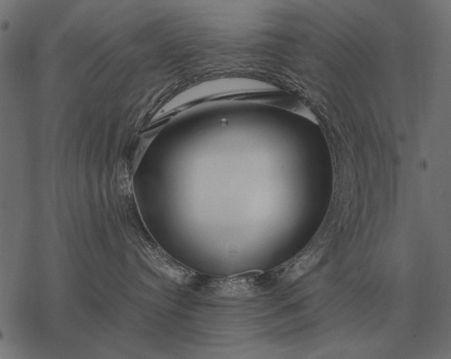 X0000077340384200611031802
