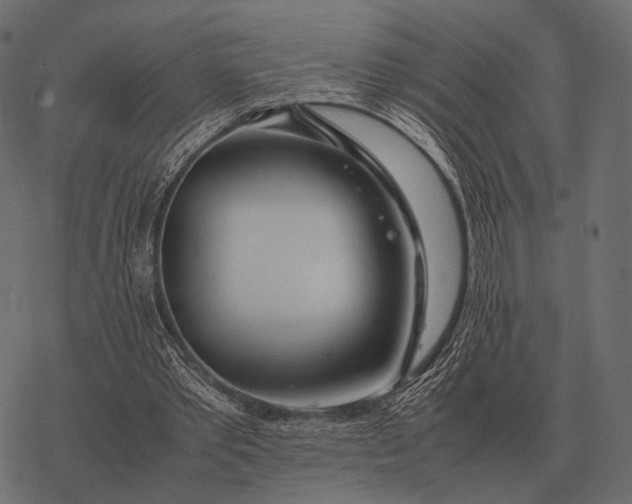 X0000077340389200611031801