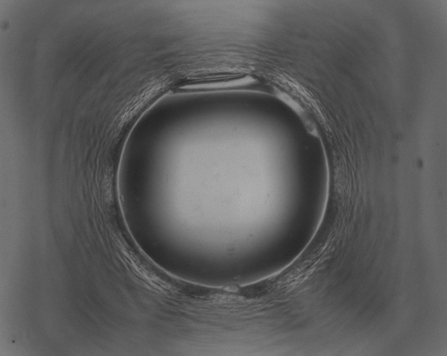X0000077340393200611031801