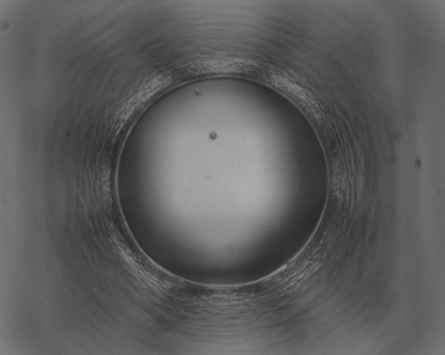 X0000077340394200611031801