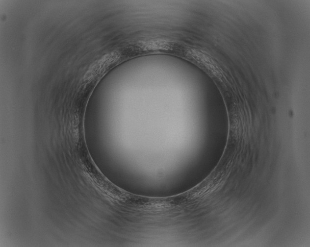 X0000077340402200611031800