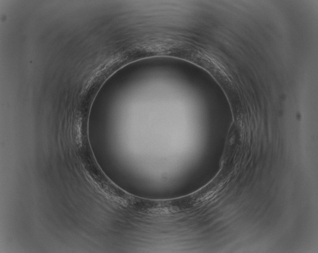 X0000077340404200611031800