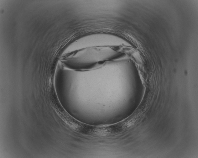 X0000077340405200611031800