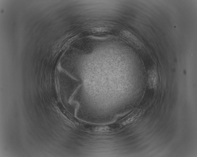 X0000077340410200611031800