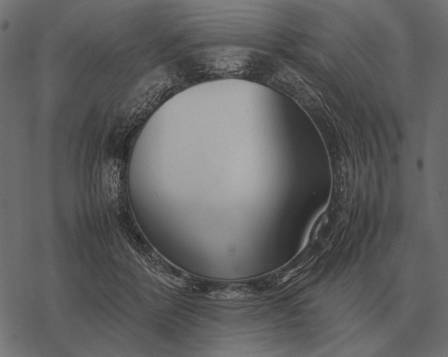 X0000077340412200611031800