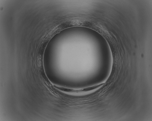 X0000077340413200611031800