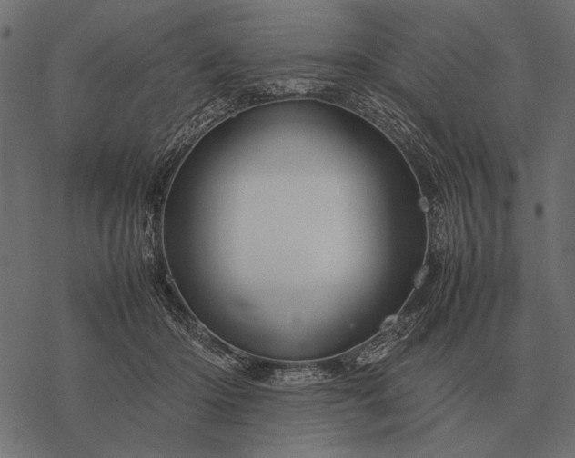 X0000077340414200611031800