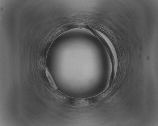X0000077340421200611031800