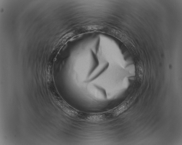 X0000077340422200611031800