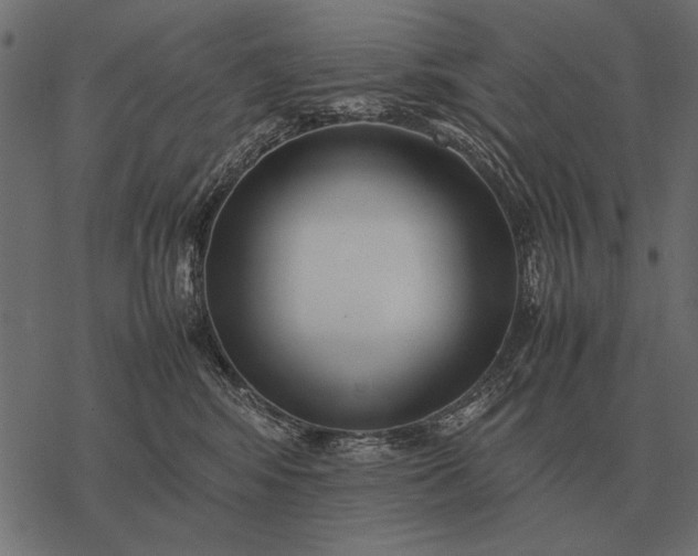 X0000077340424200611031800