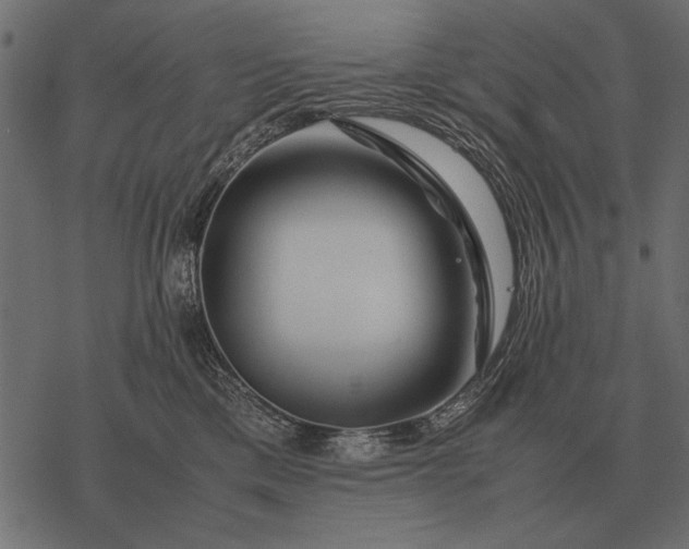 X0000077340425200611031800