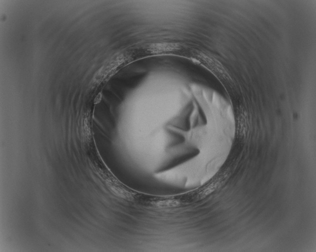 X0000077340426200611031800