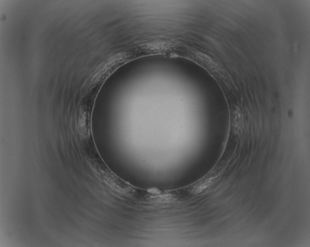 X0000077340428200611031800