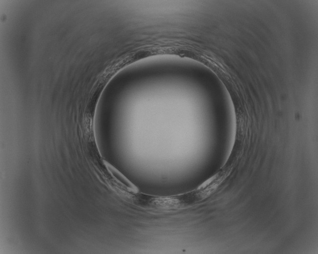 X0000077340429200611031800