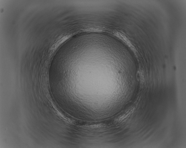 X0000077340433200611031759