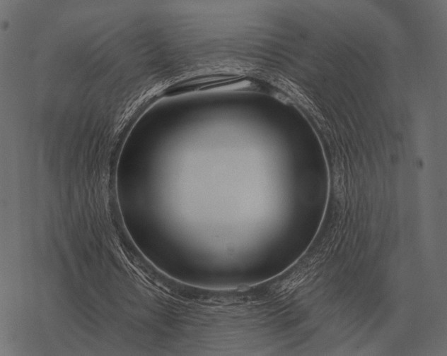 X0000077340434200611031759