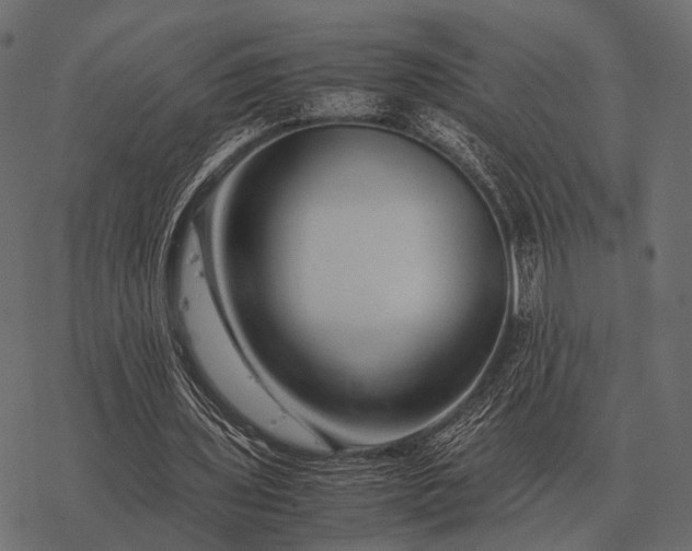 X0000077340435200611031759