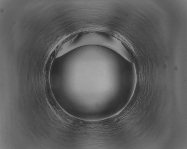 X0000077340436200611031759