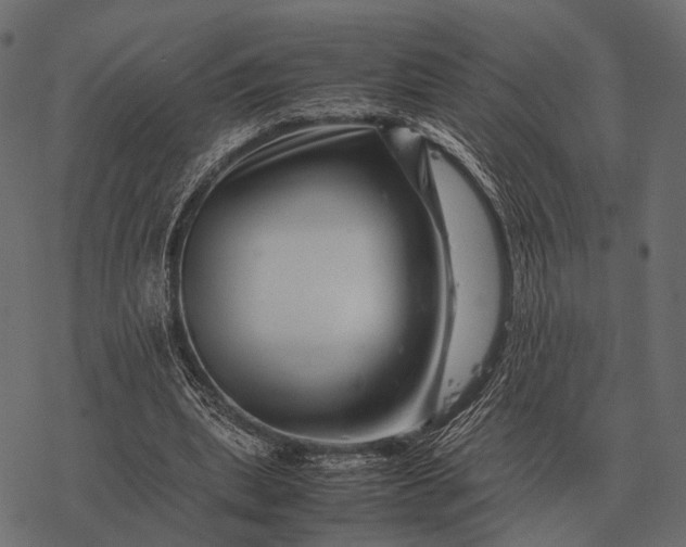 X0000077340439200611031759