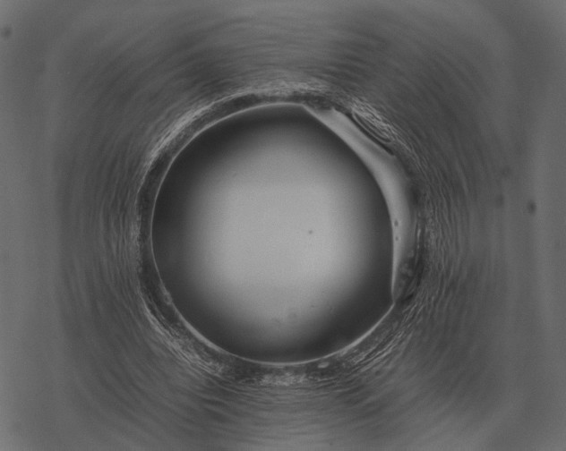 X0000077340440200611031759