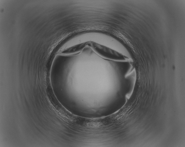 X0000077340444200611031759