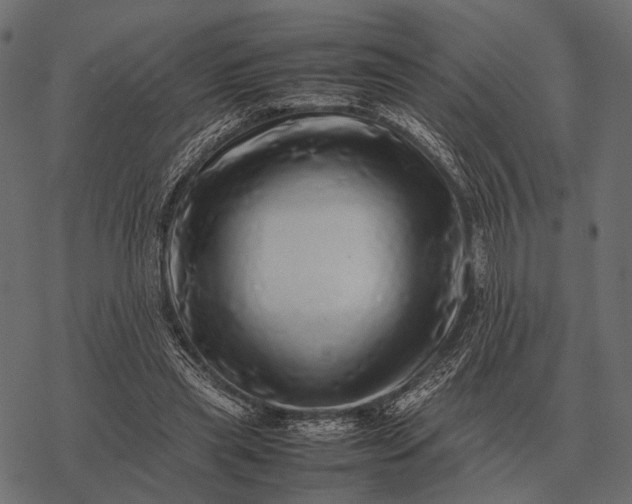 X0000077340445200611031759
