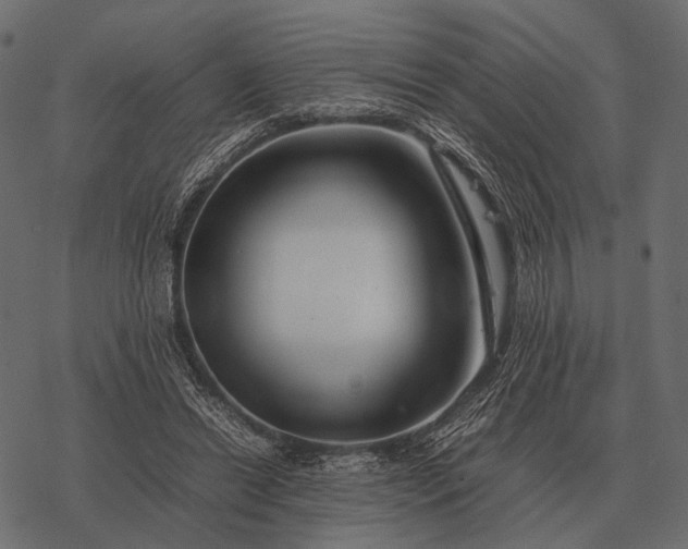 X0000077340446200611031759