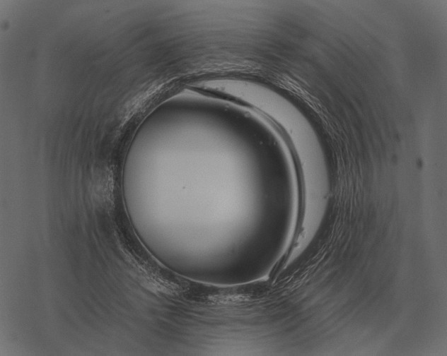 X0000077340448200611031759