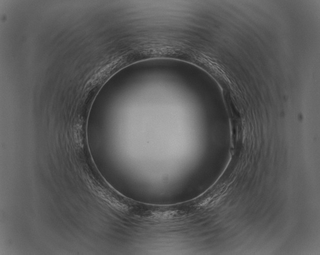 X0000077340450200611031759