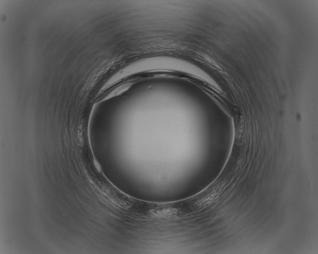 X0000077340452200611031800