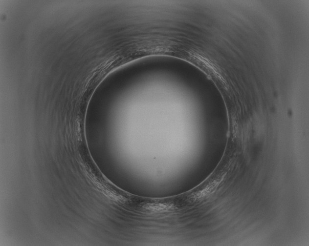 X0000077340453200611031800